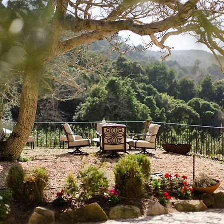 Quinta Da Bella Vista - Historic Home And Farm 신트라 외부 사진