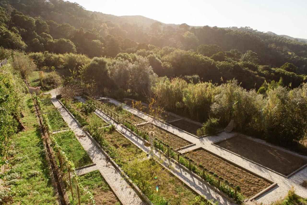 Quinta Da Bella Vista - Historic Home And Farm 신트라 외부 사진
