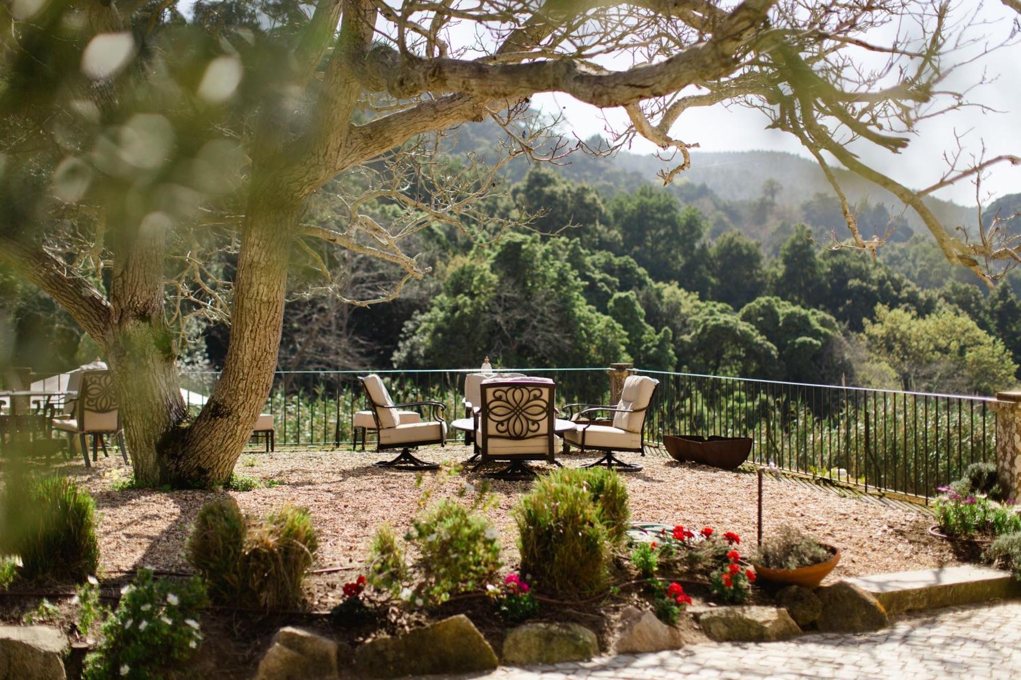 Quinta Da Bella Vista - Historic Home And Farm 신트라 외부 사진